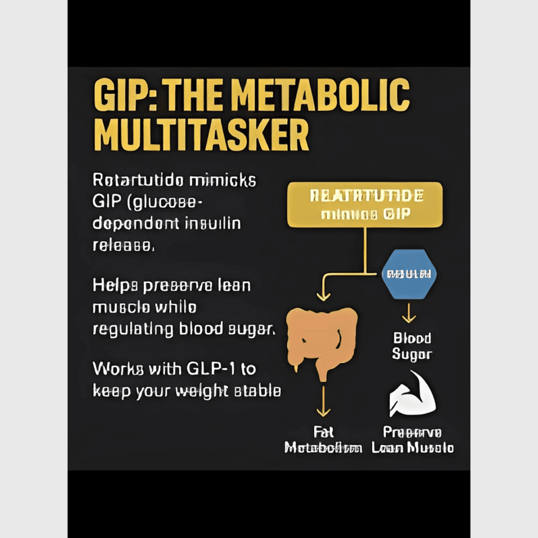 GIP metabolic multitasker infographic