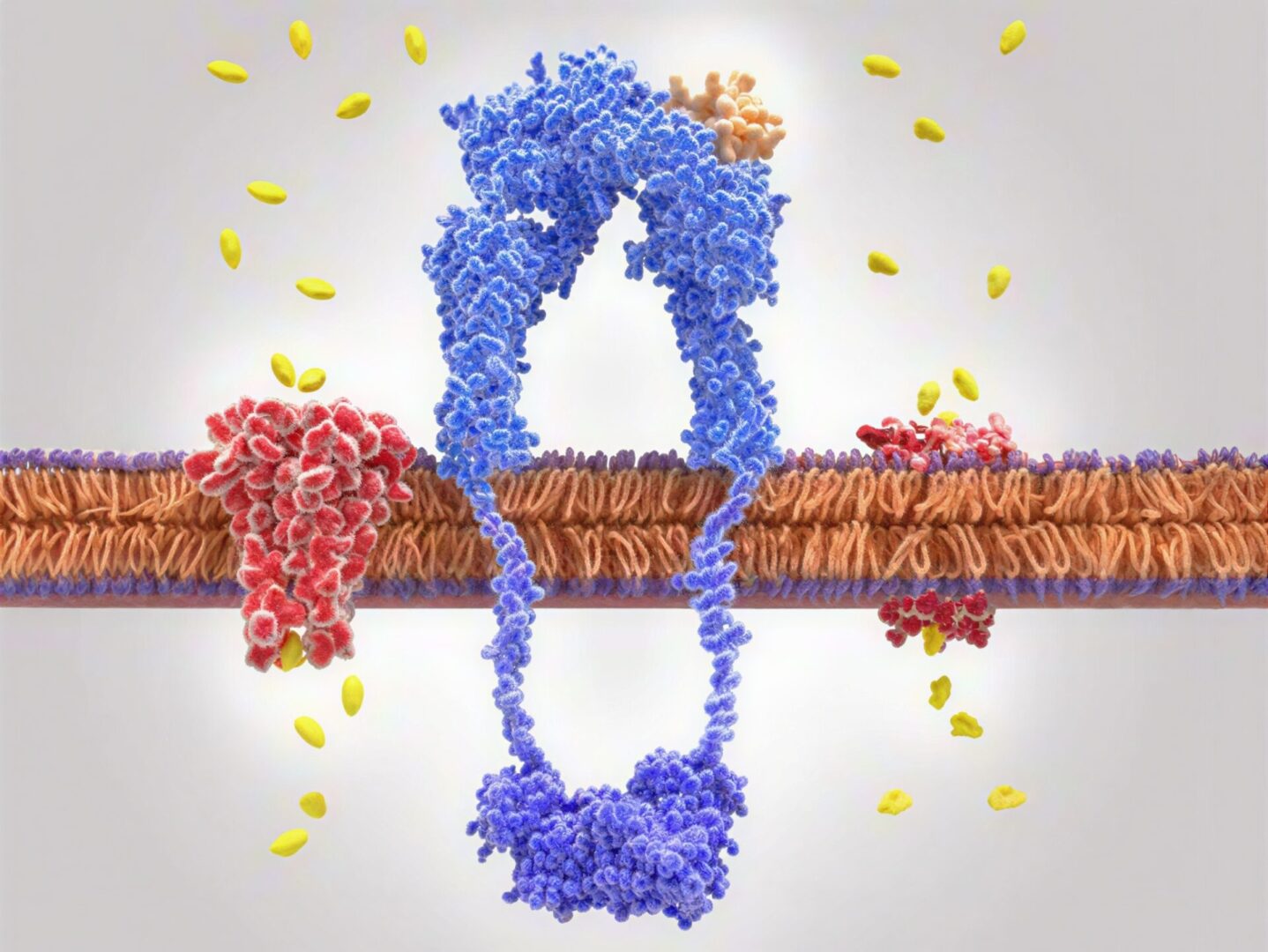 Molecular biology concept with proteins