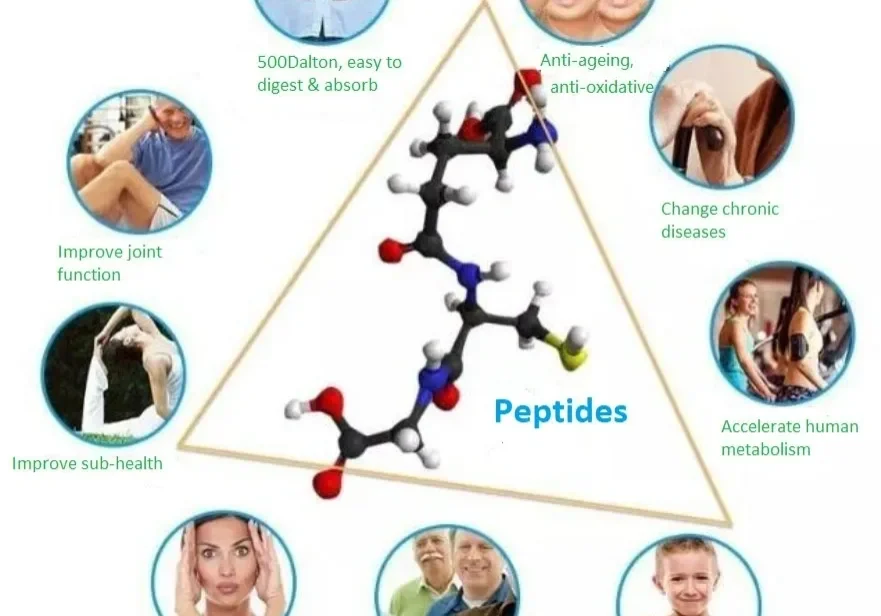 Health benefits of peptides infographic