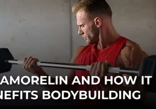 Bodybuilder training with weights