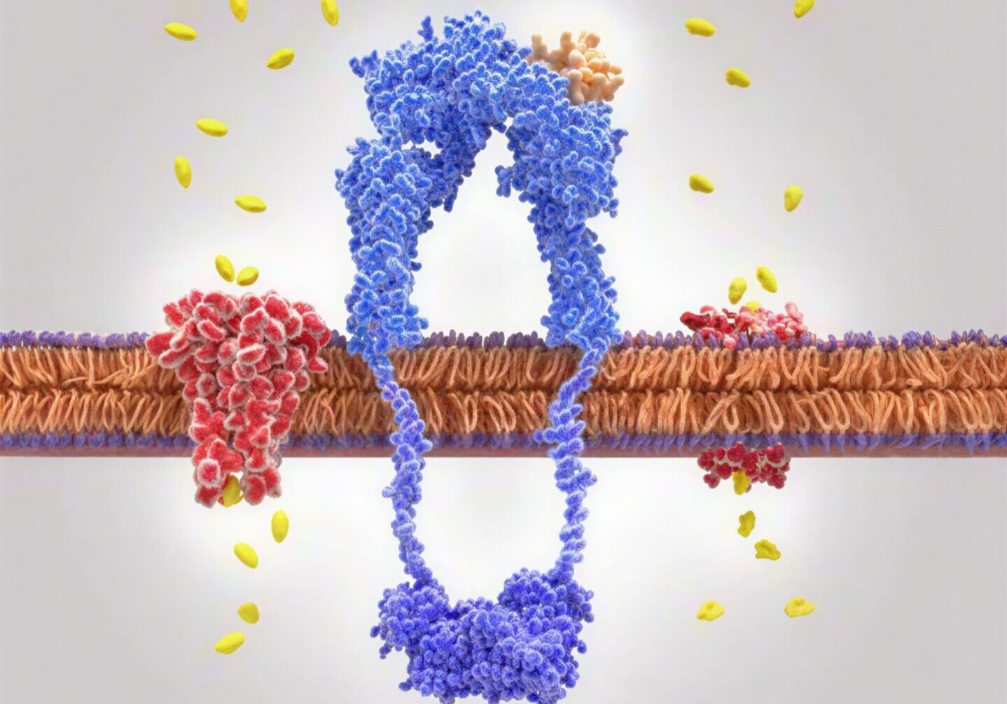 Molecular biology concept with proteins